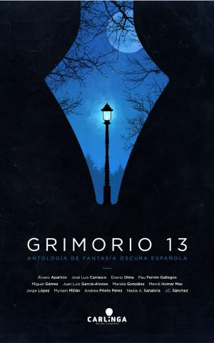 Book cover of Grimorio 13