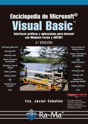 Book cover of Enciclopedia de Microsoft Visual Basic. 3ª edición