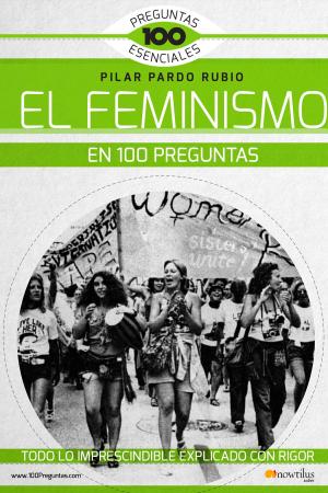Cover of the book El feminismo en 100 preguntas by Luis E. Íñigo Fernández