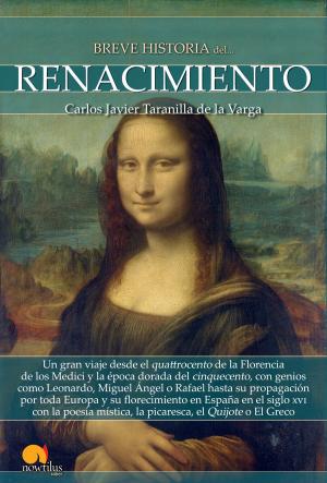 Cover of the book Breve historia del Renacimiento by José Ignacio Ortega