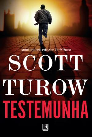 Cover of the book Testemunha by David Duchovny