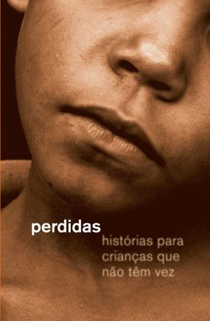 Book cover of Perdidas