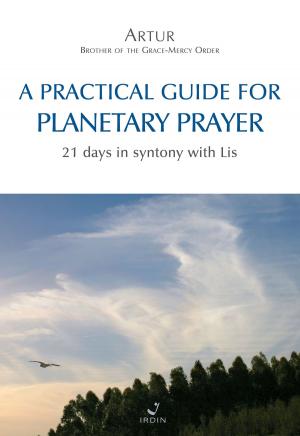 Cover of the book A practical guide for Planetary Prayer by Selacia