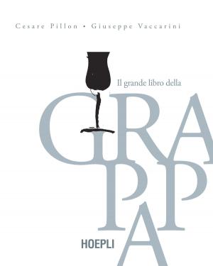 Cover of the book Il grande libro della grappa by Mark Phillips, Jon Chappell