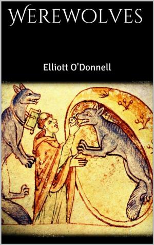 Cover of the book Werewolves by Émile Durkheim
