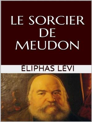 Cover of the book Le sorcier de Meudon by Charles Dickens