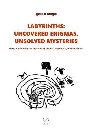 Book cover of Labyrinths: uncovered enigmas, unsolved mysteries