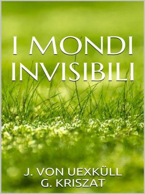 Cover of the book I mondi invisibili by Gustave Flaubert