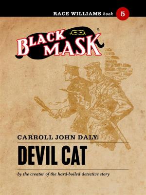 Book cover of Devil Cat