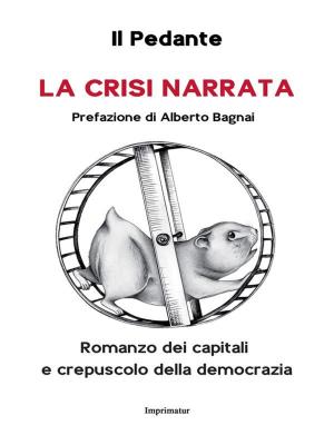Cover of the book La crisi narrata by Fabio Ghiselli