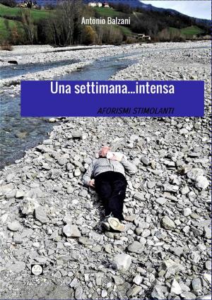 Cover of the book Una settimana intensa by Lisa Marie Sonnenschein