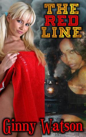 Book cover of The Red Line