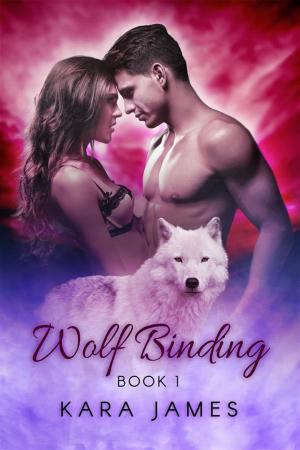 Cover of the book Wolf Binding by Susan Stewart