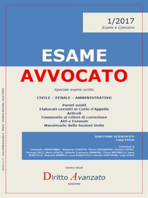 Book cover of ESAME AVVOCATO 1/2017. Speciale esame scritto - Sessioni 2017 e 2018