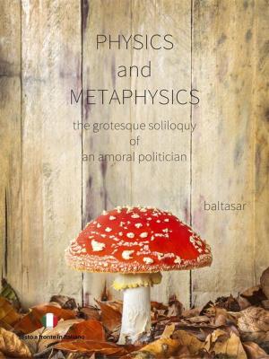 Book cover of physics and metaphysics
