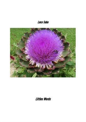 Cover of the book Littles Words by Colleen Kristinsson