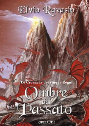 Book cover of Ombre dal Passato
