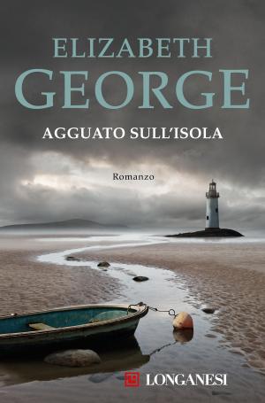 Cover of the book Agguato sull'isola by Lars Kepler