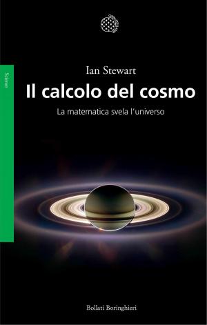 Cover of the book Il calcolo del cosmo by Israel J. Singer