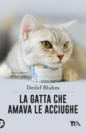 Book cover of La gatta che amava le acciughe
