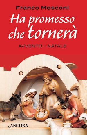 Cover of the book Ha promesso che tornerà by Eugenio Zanetti
