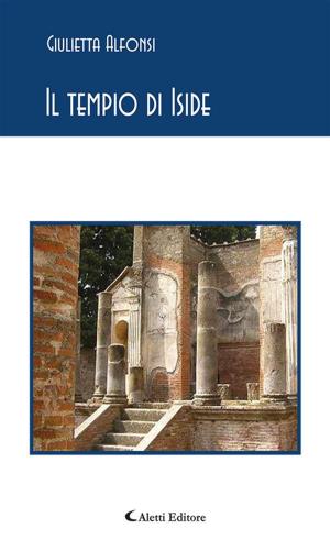 Book cover of Il tempio di Iside