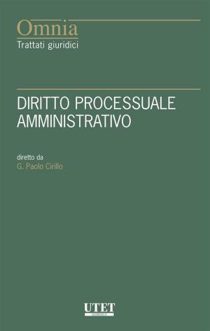 Cover of Diritto processuale amministrativo