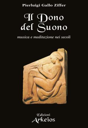 Cover of the book Il dono del suono by Andrew Lee