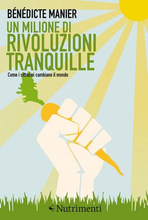 Cover of the book Un milione di rivoluzioni tranquille by Marianne Leone, Davide Ferrario
