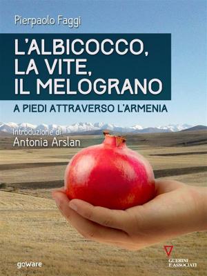 Cover of the book L’albicocco, la vite, il melograno. A piedi attraverso l’Armenia by Andrew M. Crusoe