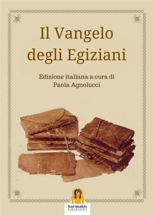 Cover of the book Il Vangelo degli Egiziani by Valentino Bellucci