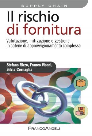 Cover of the book Il rischio di fornitura by Paolo Meazzini