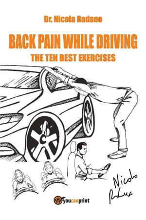 Cover of the book Back pain while driving by Nixon Waterman