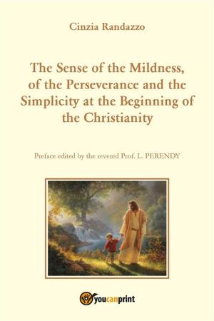Book cover of The Sense of the Mildness, of the Perseverance and the Simplicity at the Beginning of the Christianity