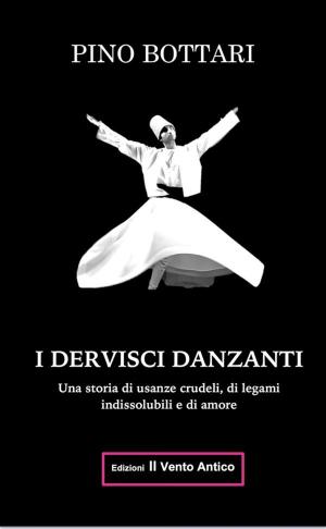 Cover of I Dervisci Danzanti