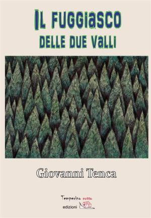 Cover of the book Il fugiasco delle due valli by Maria Sirianni