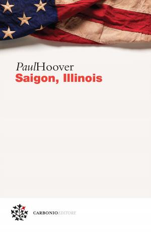 Book cover of Saigon, Illinois