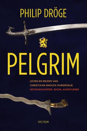 Cover of the book Pelgrim by Joost Verbeek, Foeke Jan Reitsma