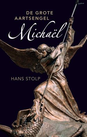 Cover of the book De grote aartsengel Michaël by Petra Kruijt
