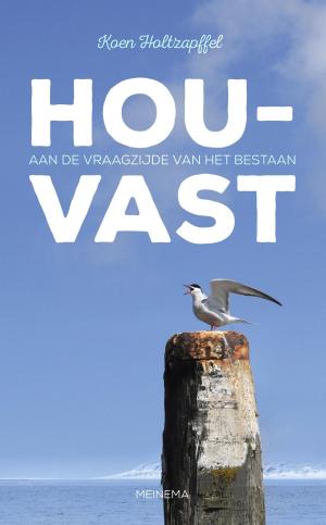 Cover of the book Houvast by Julia Burgers-Drost