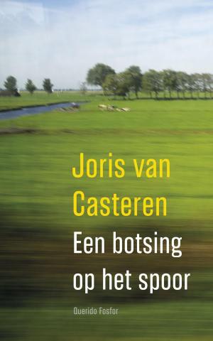 Cover of the book Een botsing op het spoor by Frans Pointl