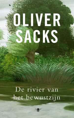 Cover of the book De rivier van het bewustzijn by Paul Verhaeghe