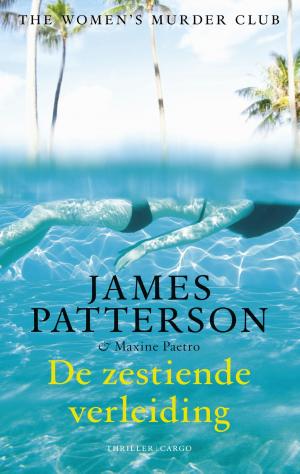 Cover of the book De zestiende verleiding by Marten Toonder