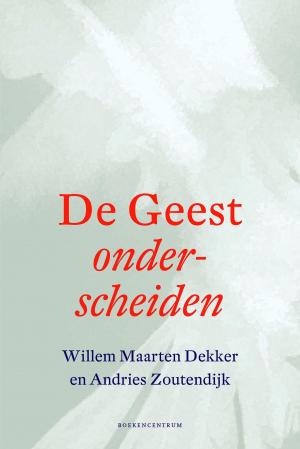 Cover of the book De geest onderscheiden by Aloka Liefrink