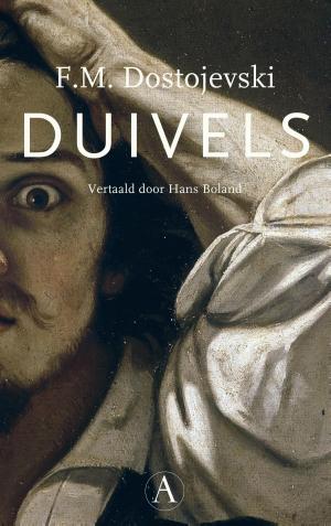 Cover of the book Duivels by Maarten 't Hart