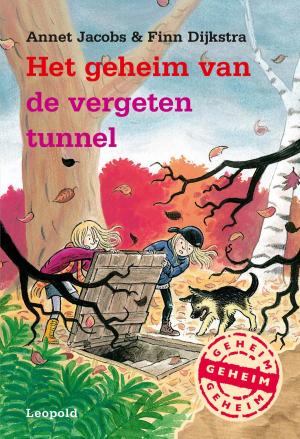 Cover of the book Het geheim van de vergeten tunnel by Anna Woltz