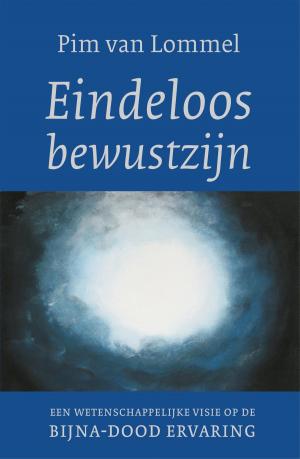 Cover of the book Eindeloos bewustzijn by Margreet Maljers