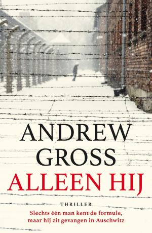Cover of the book Alleen hij by Joke Verweerd