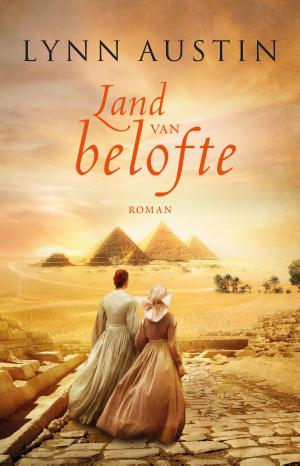 Book cover of Land van belofte