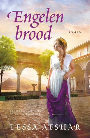 Cover of the book Engelenbrood by Marleen Schmitz